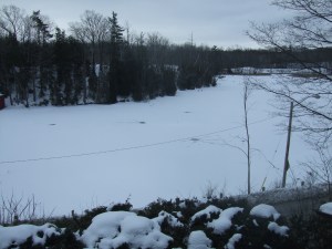 It's been a LONG cold Winter